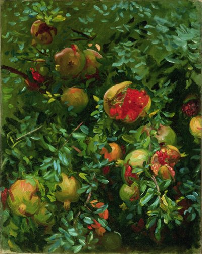 Nar, Mayorka, c.1908 by John Singer Sargent