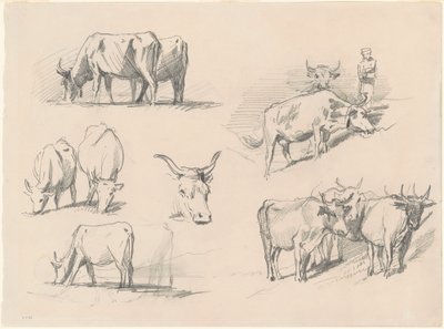 Sığır Çalışmaları, c. 1872. by John Singer Sargent