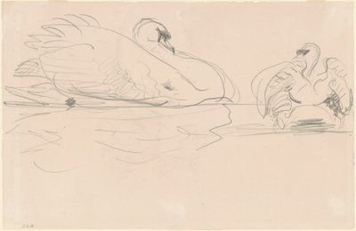 Sudaki Kuğular by John Singer Sargent