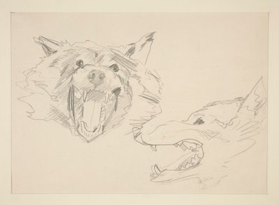 Bir Kurdun İki Görünümü by John Singer Sargent