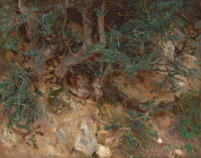Yabani Zeytin Ağacı Kökleri, Valldemosa, Mayorka by John Singer Sargent