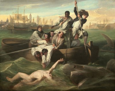 Watson ve Köpekbalığı by John Singleton Copley