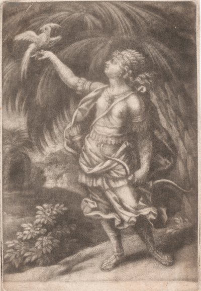 Bir Şahin Avcısı by John Smith