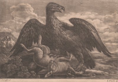 kartal ve tavşan by John Smith