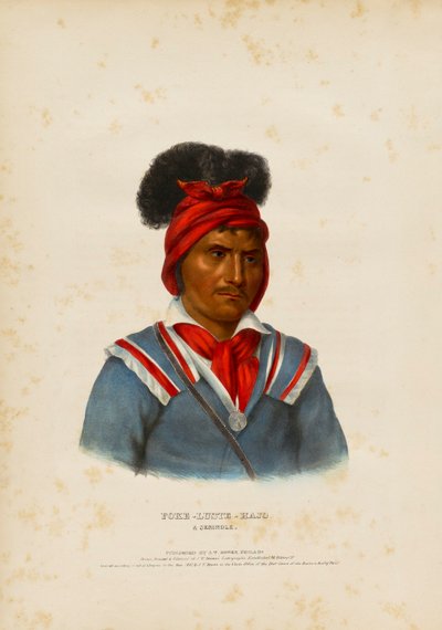 Foke-luste-ajo, bir Seminole by John T. Bowen