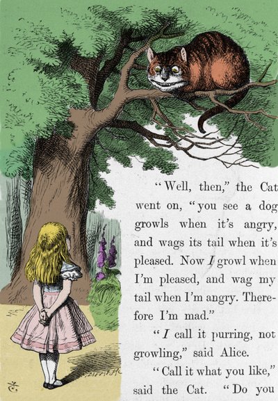 Alice ve Kedi, İngiliz yazar Lewis Carroll (Charles Lutwidge Dodgson) (1832-1898) tarafından Alice Harikalar Diyarında