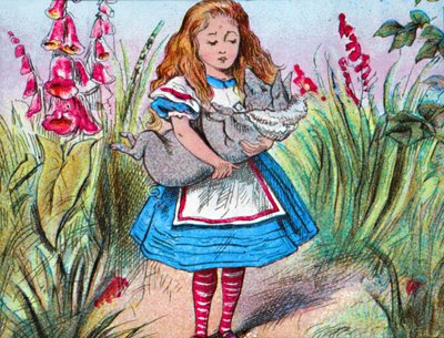 Alice, kollarında bir domuz tutuyor., c1910. by John Tenniel