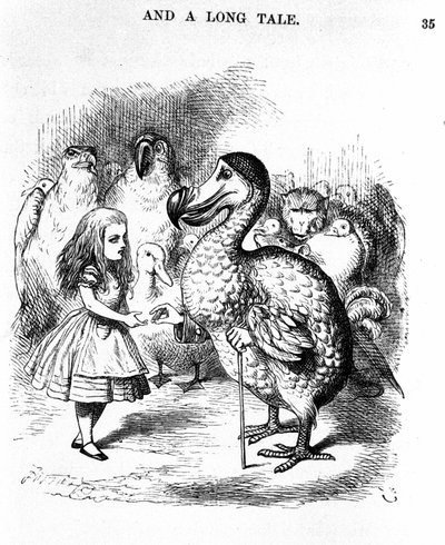 Alice Harikalar Diyarında: Alice'in Lewis Carroll'dan bir dodo ile buluşması, Tenniel'in ilk baskısının illüstrasyonu by John Tenniel
