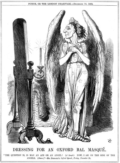 Benjamin Disraeli, İngiliz Muhafazakar, Punch
