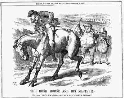 Bay Punch, John Bull