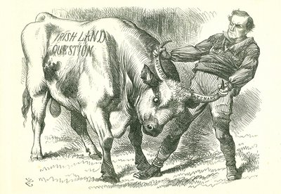 (İrlandalı) Boğayı Boynuzlarından Almak: Tasarı 15 Şubat 1870