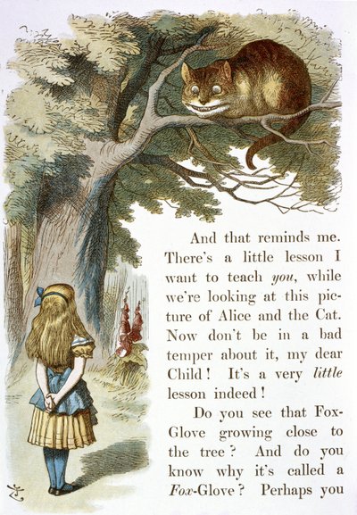 Chesire kedisi by John Tenniel