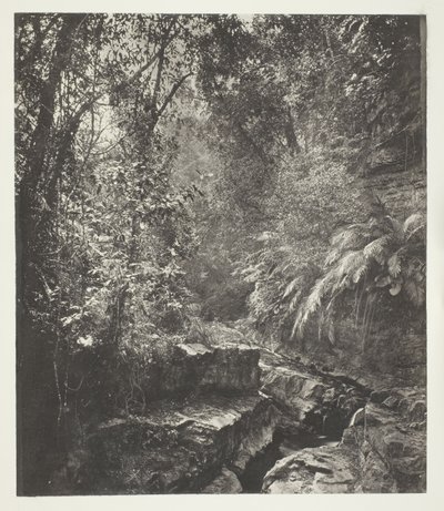  by John Thomson