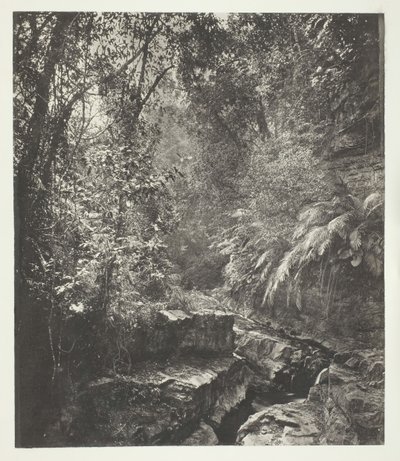 Formosa
