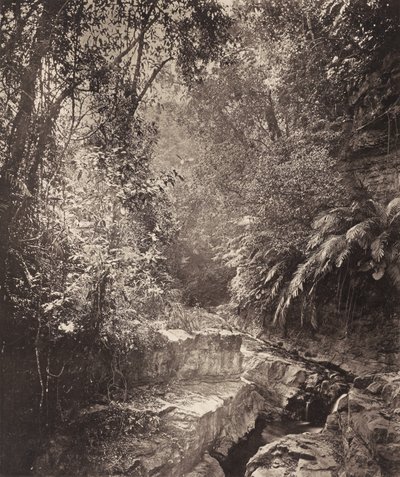  by John Thomson