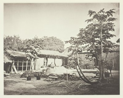  by John Thomson