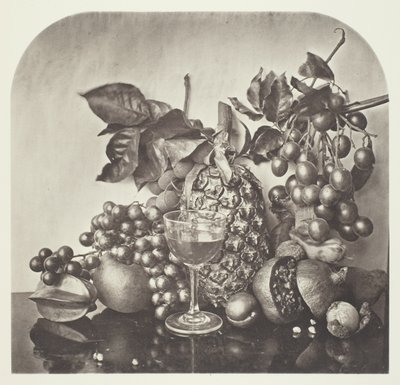 Meyve by John Thomson