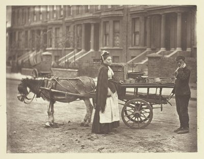 Çilekler. Hepsi Olgun! Hepsi Olgun! by John Thomson