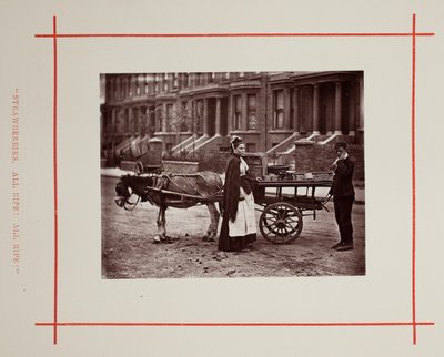 Çilekler. Hepsi olgun! Hepsi olgun!, 1877. by John Thomson