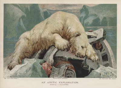 Bir Arktik Keşfi: bir Arktik keşif gezisinden eşyaları araştıran bir kutup ayısı (chromolitho) by John Trivett Nettleship