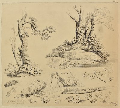 Ağaç Gövdeleri ve Yeşillik Çalışmaları Sayfası by John Varley