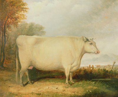 Ödül inek portresi by John Vine