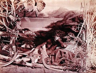Avustralya, c.1874 (fotoğraf) by John W. Lindt