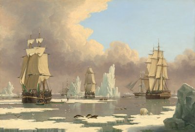 Kuzey Balina Balıkçılığı: "Kuğu" ve "Isabella" by John Ward of Hull