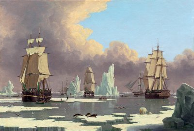 Kuzey Balina Balıkçılığı: Kuğu ve Isabella, c. 1840 by John Ward of Hull