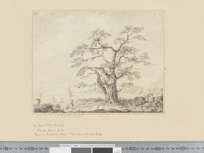 F.44 Deniz Kıyısında Manzara, merkezde büyük ağaç, c.1783-84 by John Webber