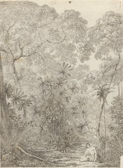 Cracatoa Yelpazesi by John Webber