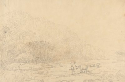 Pulo Condore Adası'nda Görüntüle by John Webber