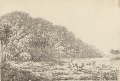 Pulo Condore Adası'nda Görüntüle by John Webber