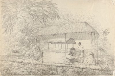 Waheiadooa, Oheitepha Şefi, Eyalette Yatan by John Webber