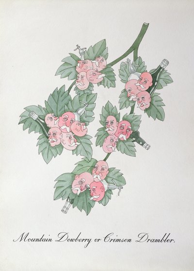 Mountain Dewberry veya Crimson Drambler, John Weir