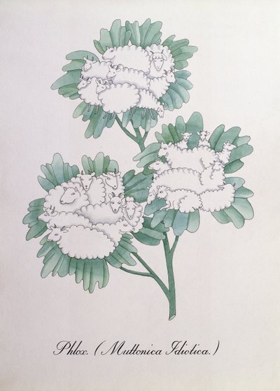 Floksa. (Muttonica Idiotica), John Weir