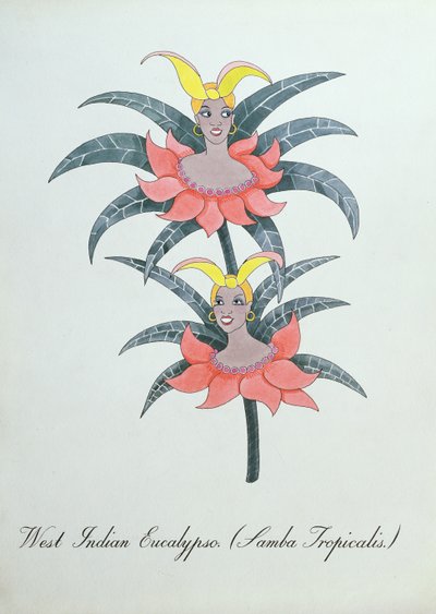 Batı Hint Okaliptüs (Samba Tropicalis.), John Weir