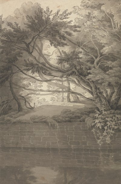 Göl Sarkan Ağaçlar by John White Abbott