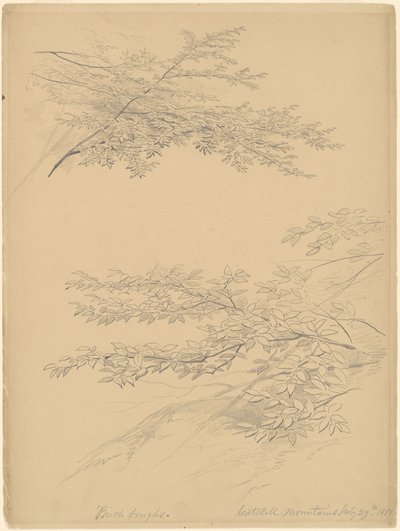 Huş Dalları, Catskill Dağları by John William Casilear