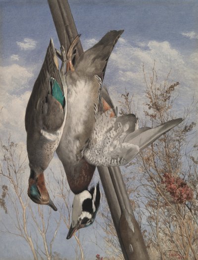 Oyun Kuşları by John William Hill