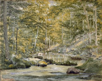 Woodland Pool with Men Fishing, 1870 (kağıt üzerinde wc) by John William Hill