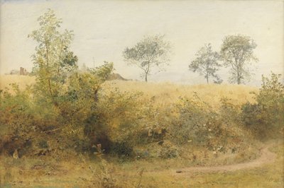 Yarasa Giddy Wing ile Başlıyor - Çitin Üzerindeki Arpa Tarlası, 1885 (kağıda kazıma ile wc ve kalem) by John William North