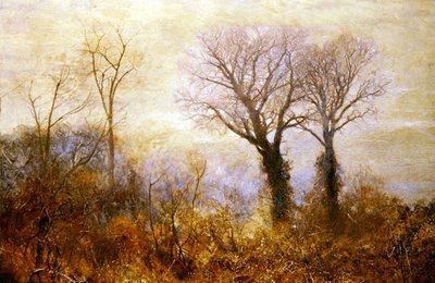 Kışın Savurgan Nefreti Neredeyse Bittiğinde by John William North