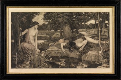 Echo ve Narcissus (fotogravür) by John William Waterhouse