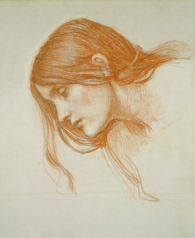 Bir Kızın Kafasının İncelenmesi (kağıt üzerinde kırmızı tebeşir) by John William Waterhouse