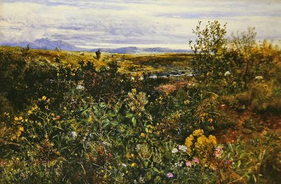 Kır Çiçekleri ile Geniş Manzara, c.1855-1860 (gemide petrol) by John Wright Oakes