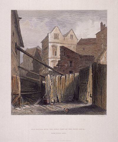 Fleet Nehri, Londra, 1851 by John Wykeham Archer