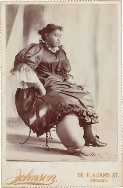 Bir Kadın Portresi, yak. 1890 (fotoğraf) by Johnson