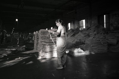 Jüt fabrikası, Kalküta, Hindistan, 2017 (fotoğraf) by Jon Nicholson