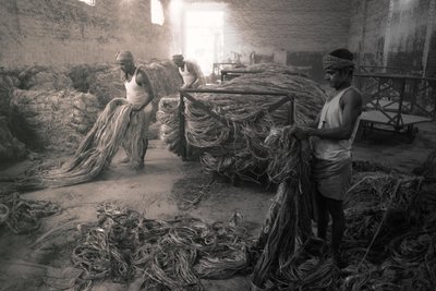 Jüt fabrikası, Kalküta, Hindistan, 2017 (fotoğraf) by Jon Nicholson